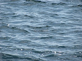 海洋,水,海