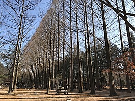 纳米岛,冬天,冷