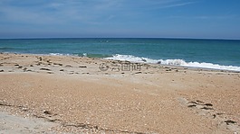 海濱,波,海灘
