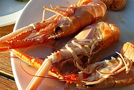 龙虾,nephrops,美味