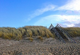 北海,海,海灘