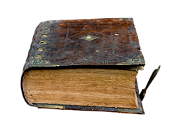 本書(shū),讀取,文學(xué)