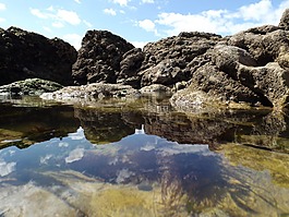 巖池,海濱,海