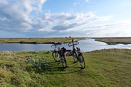 fannemanns 渡輪,自行車,laesoe