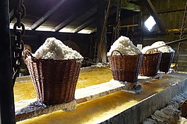 鹽,籃,行業(yè)