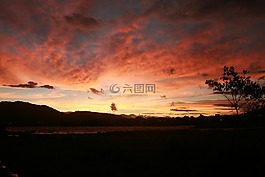 日落,sunsetworking,溶胶