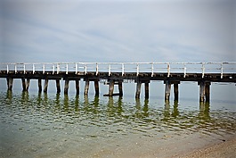 碼頭,木,橋