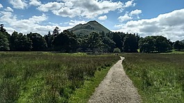 catbells,西湖区,荒原
