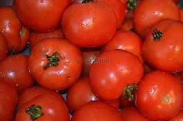 西紅柿,蔬菜,食品