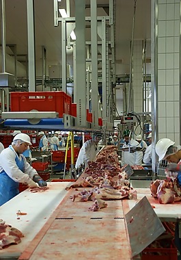 肉,屠夫的,屠宰場