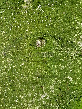 背景,綠色,行李箱