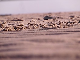 美國瓦茨,瓦登海,北海