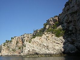 巖,海岸,海