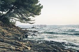 海灘,波,海