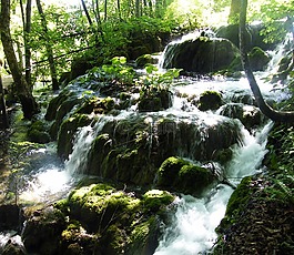 瀑布,克羅地亞,plittvice