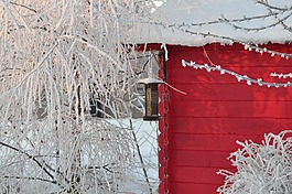 冬天,雪,花園的小屋