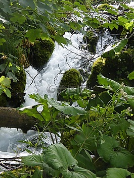 瀑布,克羅地亞,plittvice