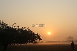日落,日出,霧