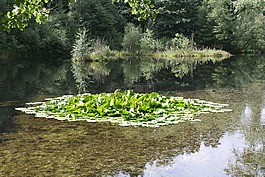 湖,池,小區(qū)
