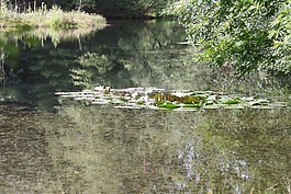 湖,池,小區(qū)