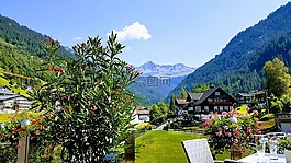 福拉爾貝格,線網絡連接,山
