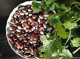 豆類,香菜,食品