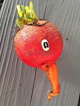 甜菜,兒童,食品