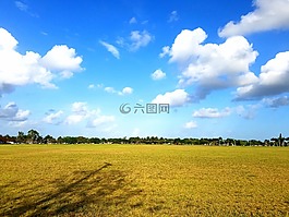 自然,景觀,夏天