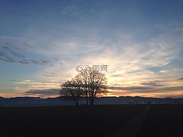 樹,天空,日落