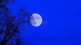 月亮,夜,天空