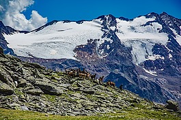 意大利,山,雪