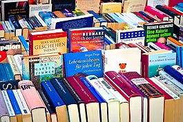 圖書,讀取,文學