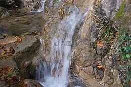 瀑布,水,巖