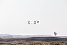 自然,單,秋