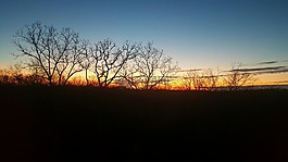 日落,自然,夏天