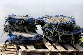 凈額,捕魚,碼頭
