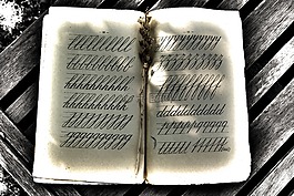 郵件,寫作,書