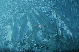 霜,凍結(jié),冬天