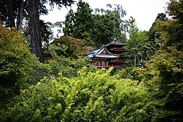 亞洲,自然,日本