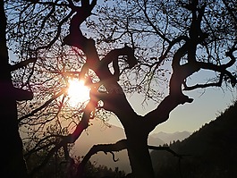 對(duì)比,背光,景觀