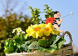 春天,鮮花,廠(chǎng)