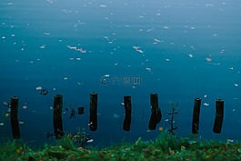 自然,秋,藍色