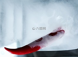 比薩餅,冰,紅色