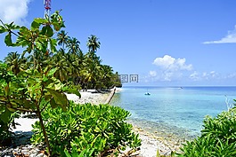 海灘,棕櫚樹(shù),海景