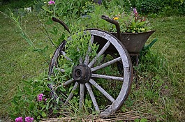 輪,獨(dú)輪車,園藝