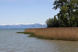瑞士,博登湖,湖