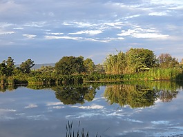 鏡子,湖,鏡像