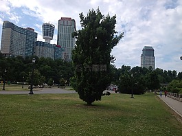 建筑物,高大,結(jié)構(gòu)