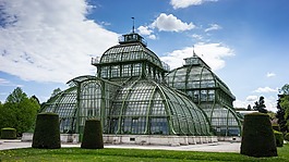 palmenhaus,美泉宮,維也納