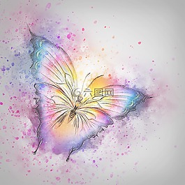 蝴蝶,昆蟲,藝術